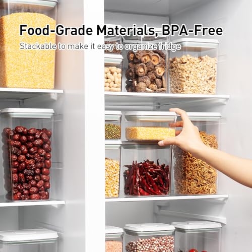 EQI 2.9Qt Food Storage Containers with Lids, 2-Pack Airtight BPA-Free Kitchen Organizer