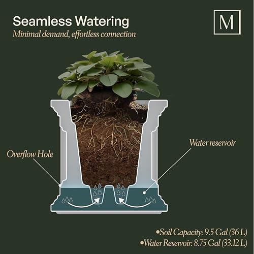 Self-Watering Square Planter 20in - Black Outdoor Garden Pot with Drainage