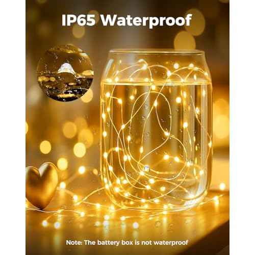 btfarm 6 Pack Fairy Lights Battery Operated, 7FT 20 LED Mini String Lights Waterproof Silver Wire for Mason Jars Centerpiece Table Crafts Bedroom Christmas Decoration, Warm White