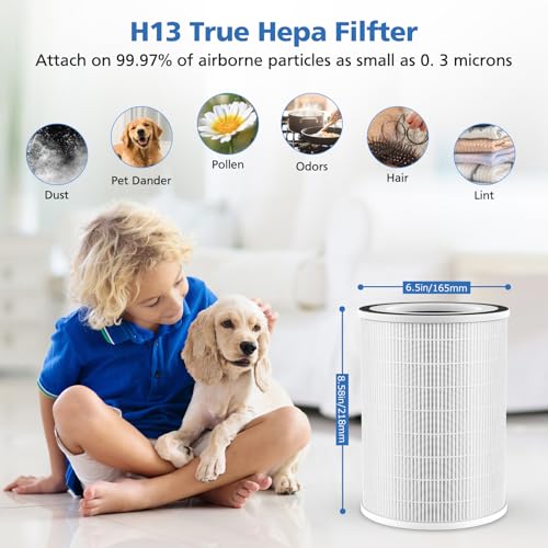 ShufudeJa 2 Pack KILO HEPA Air Purifier Filters for Afloia KILO Series, White Variation