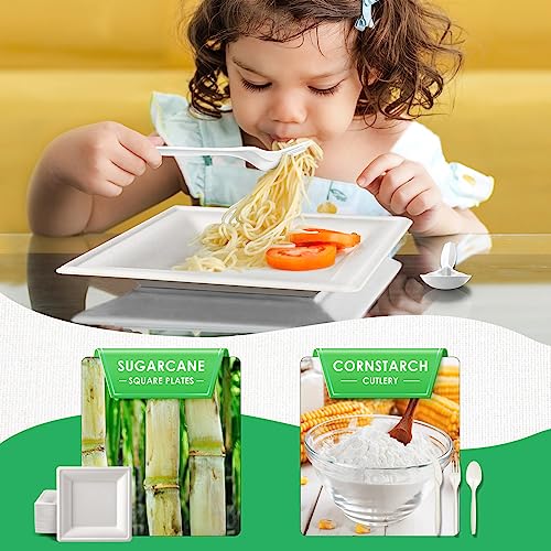 Disposable Compostable Paper Plates Set 300pcs - 10 Inch Eco-Friendly Dinnerware