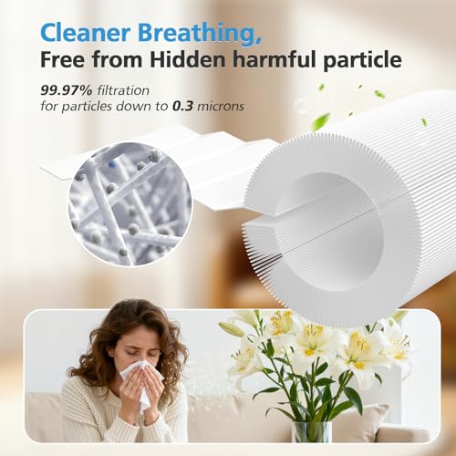 HAP606 Replacement Air Filter for XenonLab VisionAir & ECOSELF Air Purifiers - 2 Pack