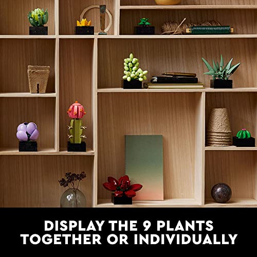 LEGO Succulents Building Kit for Adults - Realistic Indoor Plant Decor