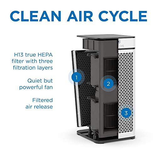 Medify MA-40 3-in-1 Air Filter Replacement for Allergens Smoke Dust Pollen Pet Dander - Variation 1