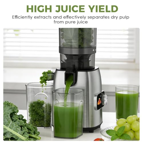 Cold Press Juicer Masticating Slow Auger Juice Extractor with Twist