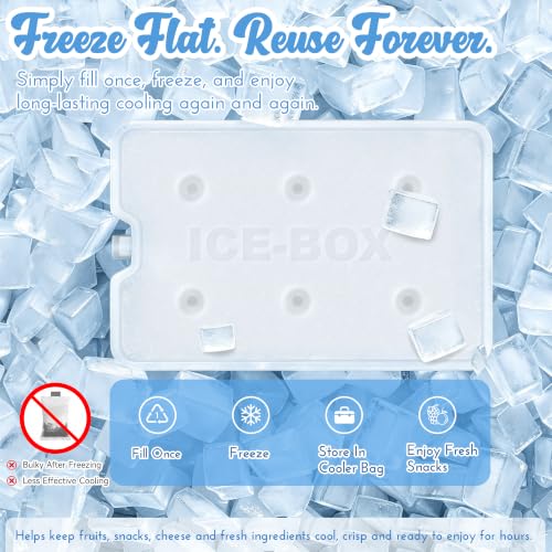 Stainless Steel Snack Box with Ice Pack and Removable Cups - Insulated Travel Food Container