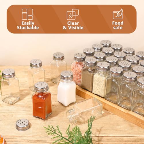 Glass Salt and Pepper Shakers Set - Silver, 2.7oz, Classic Design, 48 Pack