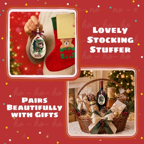 TEEBIM 04 Dinosaur Ornament 2026 – Dinosaur Christmas Ornament for Boys, Gift Box & Twine