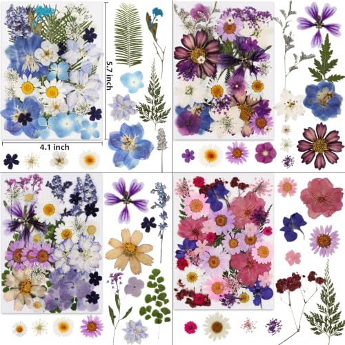 420 Pcs Dried Pressed Flowers for Resin Crafts - Assorted Natural Flowers Set - Variation of THIS listing