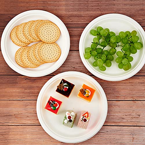 500 Pack Compostable 10.25 Inch Sugarcane Fiber Plates - White, Heavy-Duty