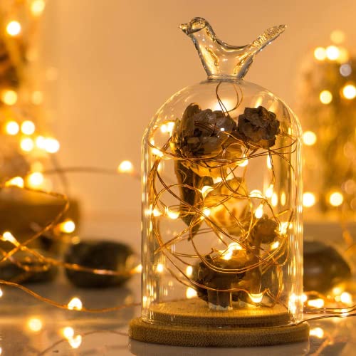 Sanniu 5m Warm White LED Copper Wire String Lights - Battery Powered Starry Fairy Lights 50 LEDs, 1 Pack
