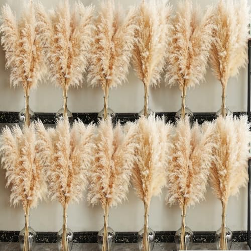 60 Stems Tall Pampas Grass Decor - Natural Beige for Wedding & Boho Home - Variation of THIS listing