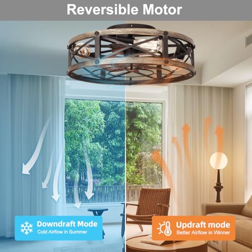 Gold 19-Inch Caged Ceiling Fan with Light and Remote - Farmhouse Flush Mount