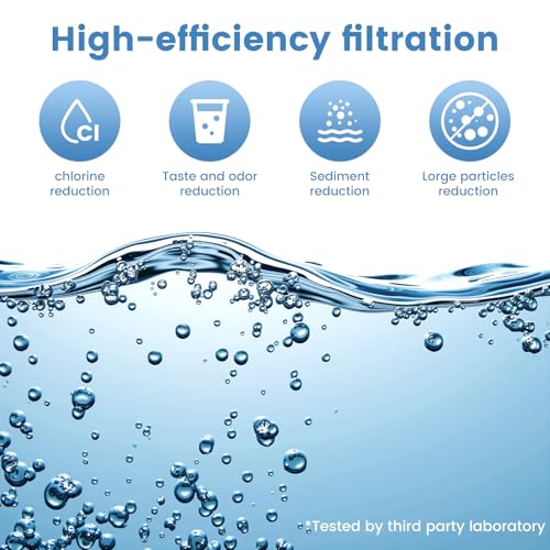 2 Pack Replacement Water Filter for Alexapure Pro System - Coconut Shell Carbon