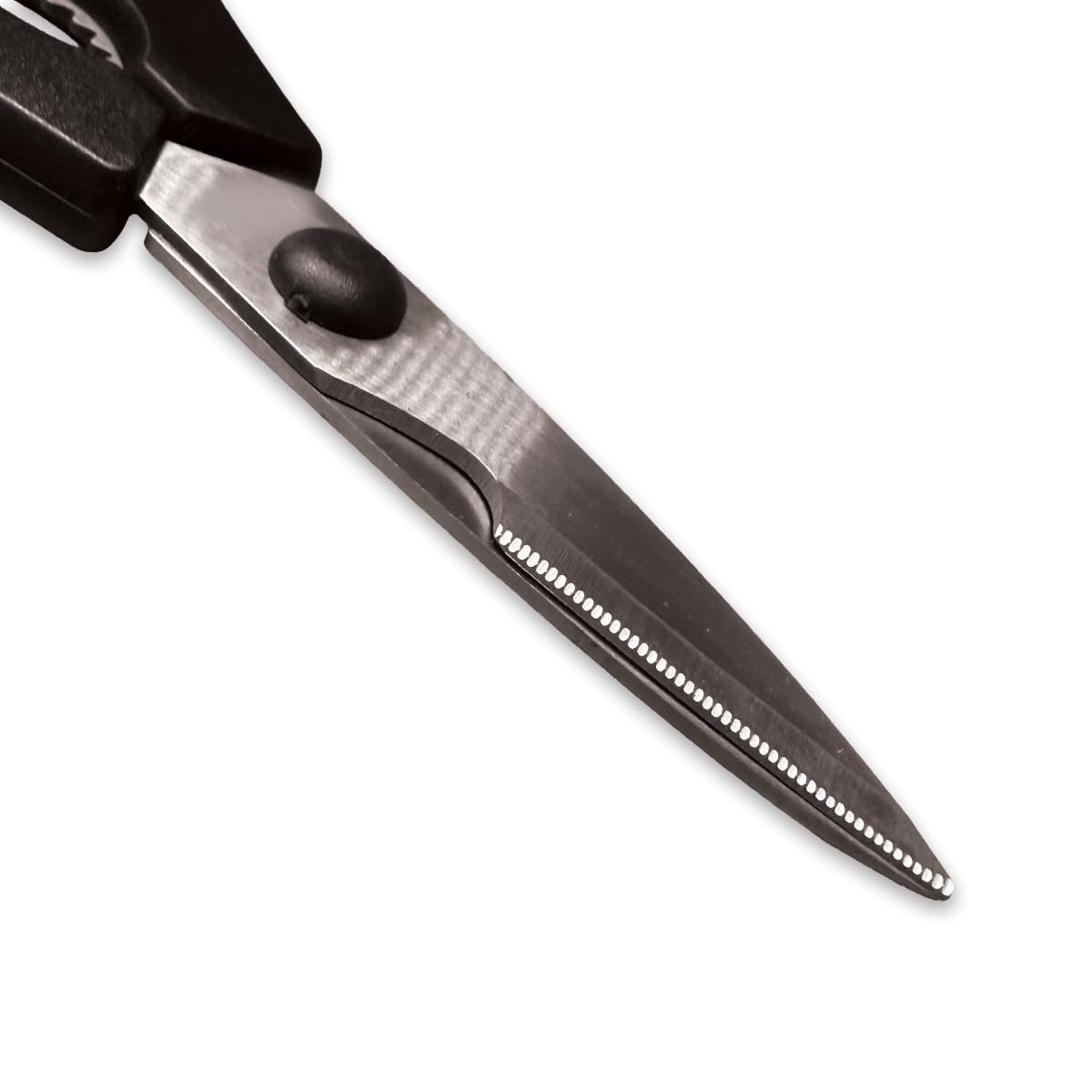 All-Purpose Kitchen Shears, Heavy-Duty Stainless Steel, Detachable Scissors with Comfortable Grip, Dishwasher Safe, 8-Inch