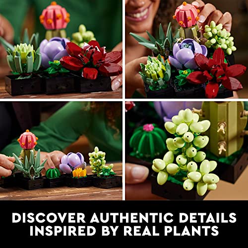 LEGO Succulents Building Kit for Adults - Realistic Indoor Plant Decor