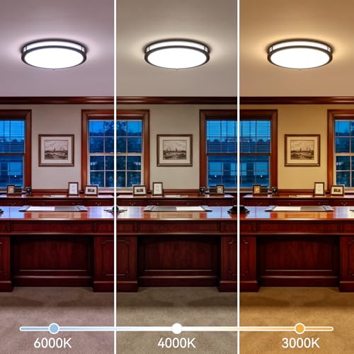16 Inch Black 2-Pack LED Ceiling Light with Remote, Dimmable Flush Mount Fixture, Adjustable Color Temperature