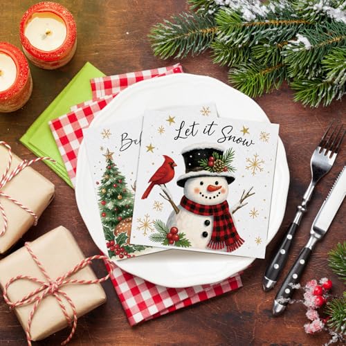 60 Pcs Classic Christmas Napkins - 4 Styles, 9.8 x 9.8 in, Janlaugh