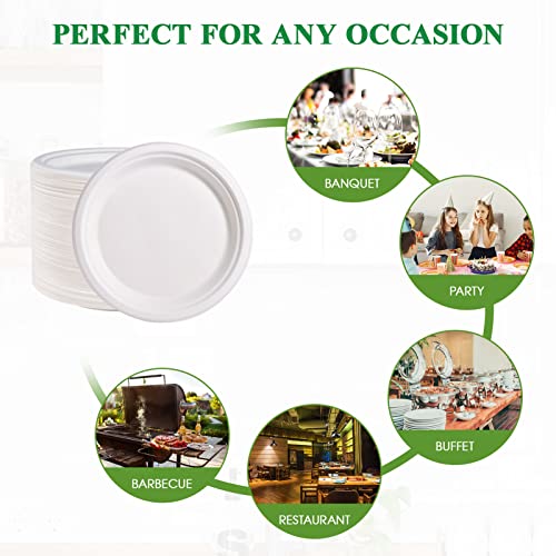 9-Inch Compostable Sugarcane Fiber Paper Plates - 500 Pack, White
