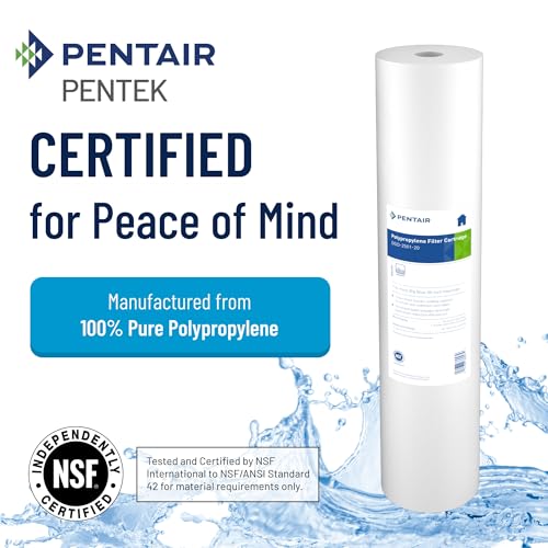 Pentair Pentek DGD-5005-20 Big Blue Water Filter Cartridge 5 Micron Pack of 1
