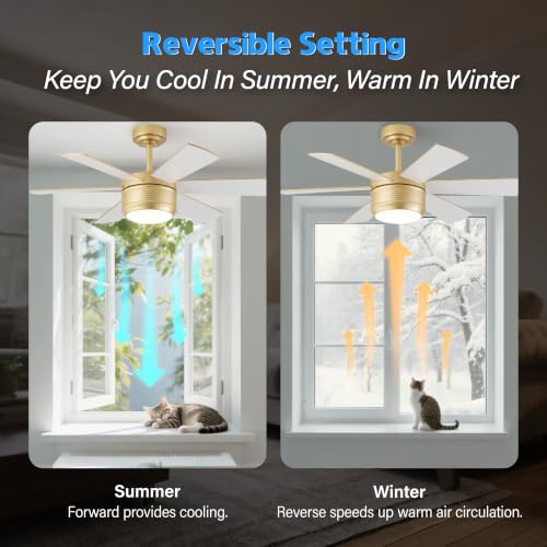 SHOWDI Gold Ceiling Fan with Lights and Remote - 42 Inch, 6-Blade, Quiet Reversible