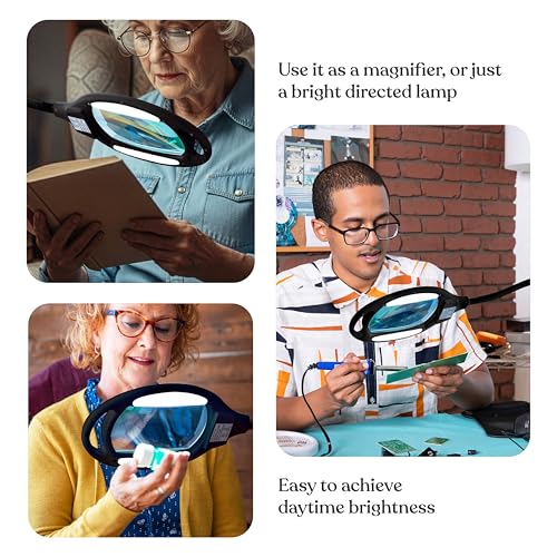 Brightech LightView Pro Floor Lamp with 3 Diopter Magnifier - Hands-Free LED Reading & Work Light, Black