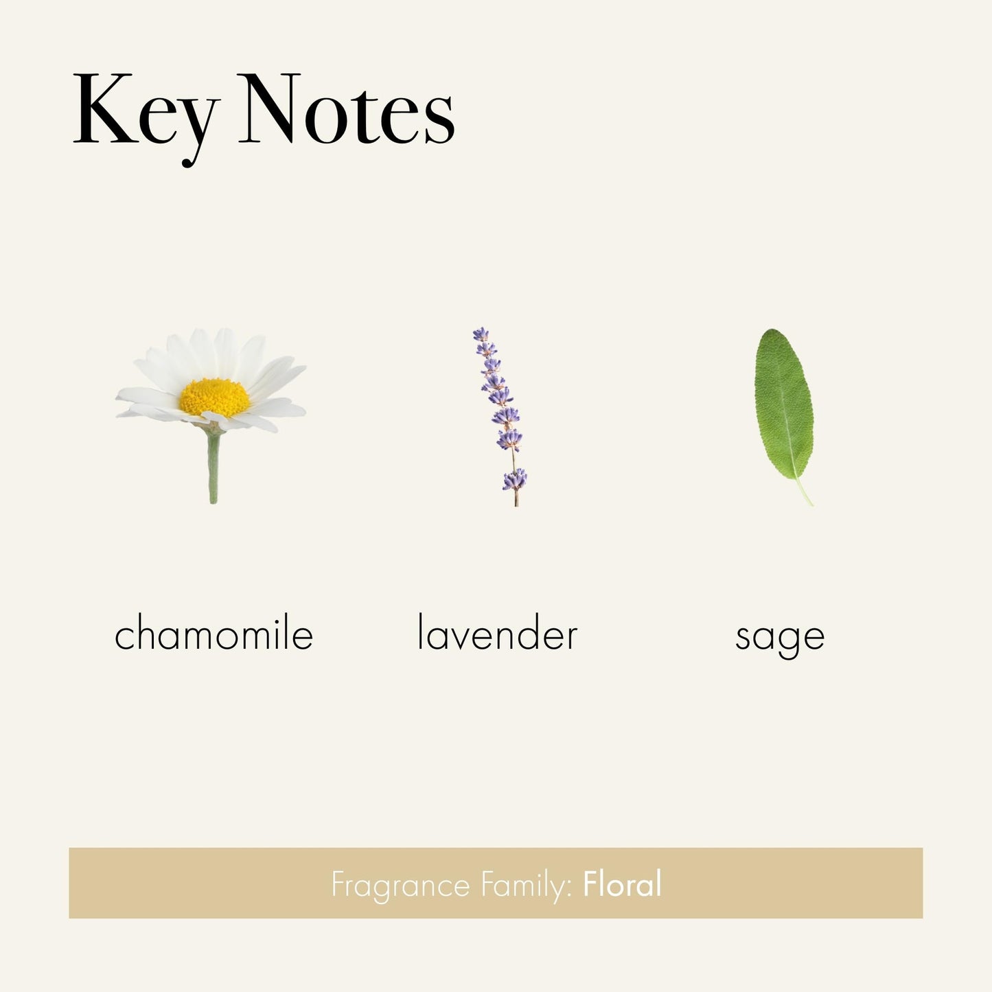 LAFCO New York Reed Diffuser Refill, Chamomile Lavender - 8.4 oz - Up to 4-Month Fragrance Life - Includes Natural Wood Reeds - Free of Dyes & Propellants - Made in The USA