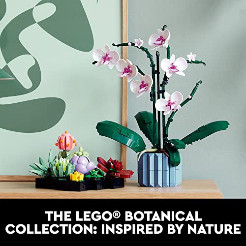 LEGO Succulents Building Kit for Adults - Realistic Indoor Plant Decor
