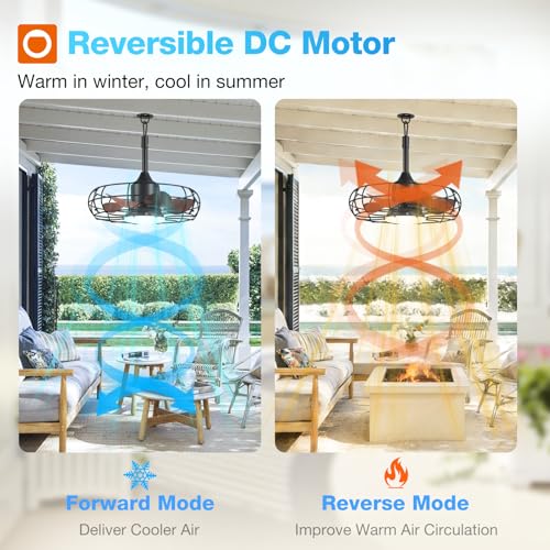 Outdoor Ceiling Fan with Light 20 Inch IP65 Waterproof Bronze Finish