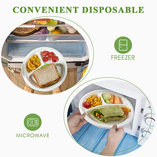 Vplus Compostable Plates 10 Inch 3-Compartment White Pack of 500 - Eco-Friendly Dinnerware