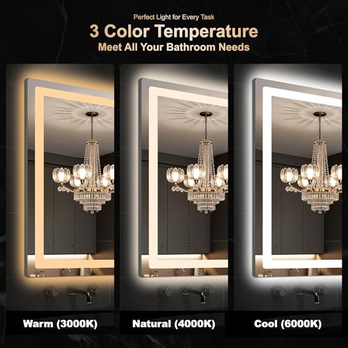 Delma 30x20 LED Bathroom Vanity Mirror with Lights, Anti-Fog, 3 Light Modes