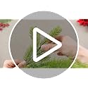 Suncalla 24 Pcs Artificial Christmas Flowers Outdoor Winter Decor - Fresh