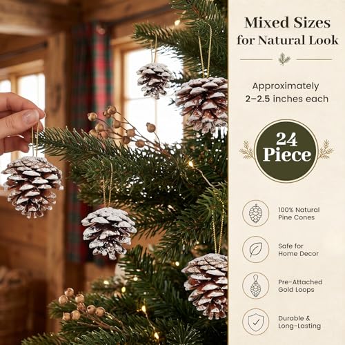 24 Pack Snow-Dusted Pine Cones for Holiday Decor, Christmas Ornaments & Crafts