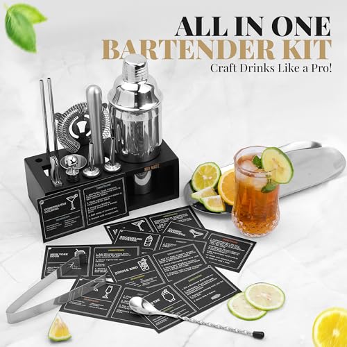 Mixology Bartender Kit with Stand - Silver 15-Piece Cocktail Set for Drink Mixing