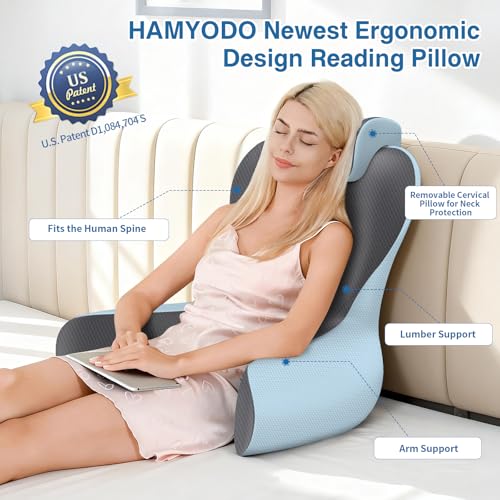 22-Inch XL Reading Pillow Bed Support with Armrests - Grey & Blue, Lumbar Backrest