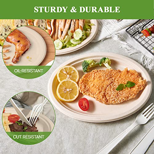Vplus 12-Inch Compostable Oval Paper Plates - 120 Pack, Nature Variation