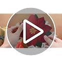Poinsettia 100 Pcs 6'' Christmas Cheese Parchment Paper Doilies - Tenceur