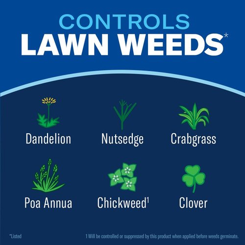 BioAdvanced Lawn Weed Killer - Season Long Concentrate, 32oz | Effective Weed Control for Healthy Lawns