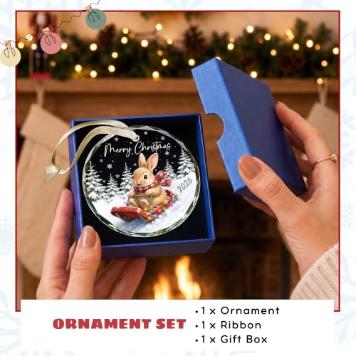 KATLADIZ Bunny Ornament 2026 - One-Sided Bunny Christmas Ornament with Navy Gift Box
