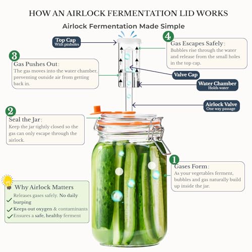 JILLMO 1.5L Wide Mouth Glass Fermentation Jar with Airlock & Weights - 2 Pack