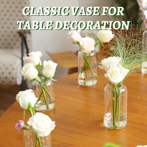 Clear Glass Bud Vases Set of 24 | Small Flower Vases for Centerpieces & Decor - Variation of THIS listing