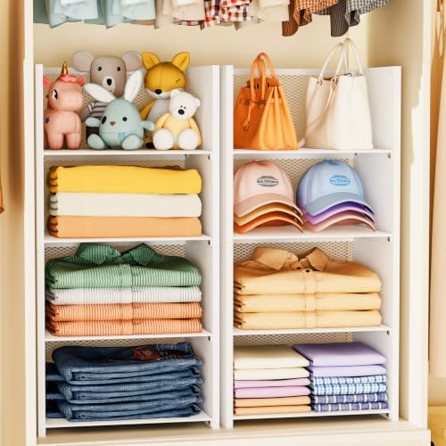 Hencawima 2-Tier Stackable Closet Organizer Baskets, Durable Iron & Wood