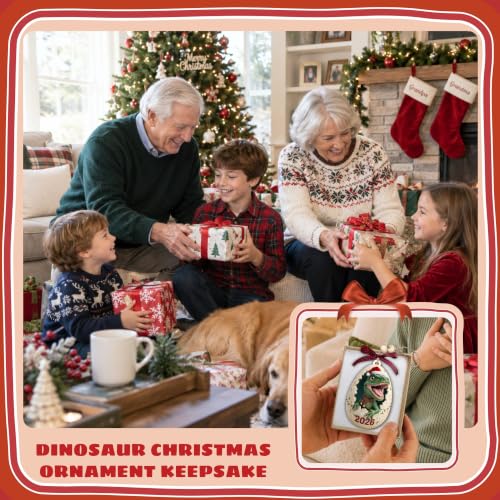 TEEBIM 04 Dinosaur Ornament 2026 – Dinosaur Christmas Ornament for Boys, Gift Box & Twine