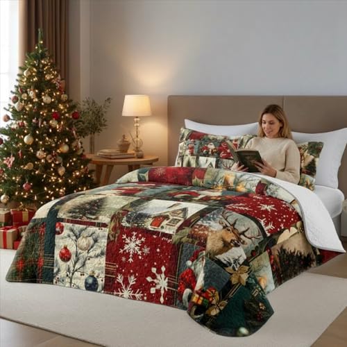 NIDITW 3-Piece Christmas Quilt Set Queen - Retro Plaid Winter Patchwork with 2 Shams