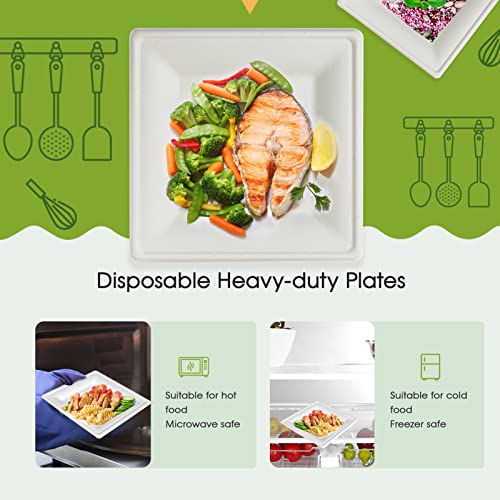 ECOLipak 150 Piecs Compostable Square Paper Plates, 10 inch, White