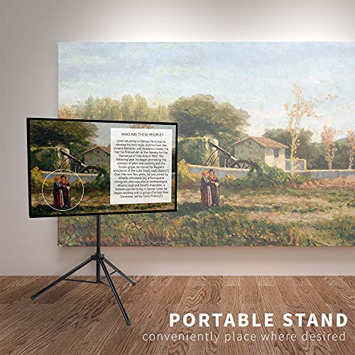 VIVO Adjustable Tripod TV Stand for 32-55 Inch Flat Screens, Black, Model STAND-TV55T