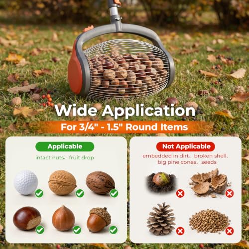 Nut Picker Upper Tool with Foot Release - Adjustable Handle for 3/4-1.5 inch Nuts & Acorns