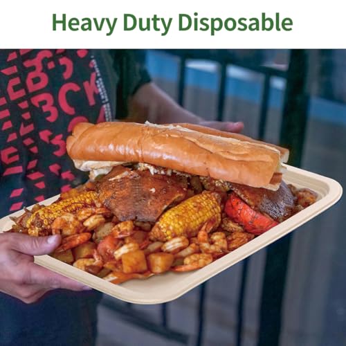 AICHEF 14x10 Inch Disposable Food Trays Pack of 100 - Heavy Duty, Eco-Friendly, Party & Catering Use
