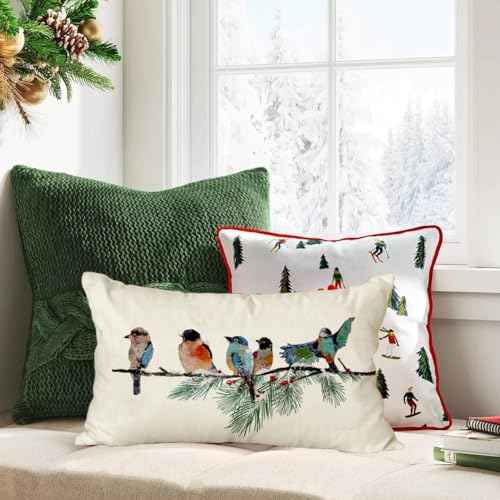 RABUSOFA Christmas Pillow Covers 12x20 Inch Birds Christmas Decorations Christmas Winter Lumbar Throw Pillow Cases Xmas Outdoor Birds Decor Decorative Pillows for Couch Holiday Teal