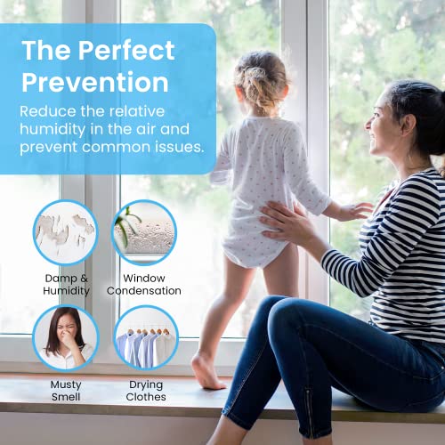 Pro Breeze 3.25 Pint Mini Dehumidifier - 2200 Cubic Feet (250 sq ft), Portable & Quiet